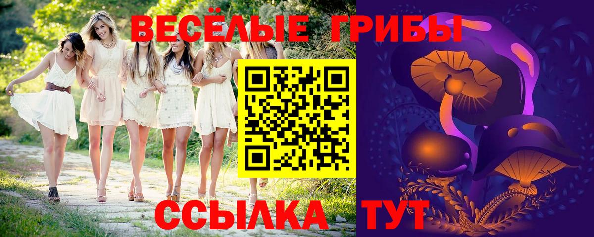 Галлюциногенные грибы Cubensis  Галлюциногенные грибы GOLDEN TEACHER  Вход с VPN  Тихорецк 
