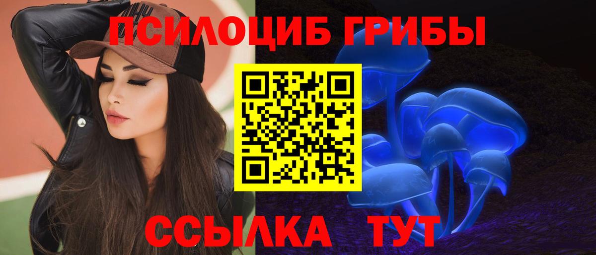 Галлюциногенные грибы GOLDEN TEACHER Тихорецк